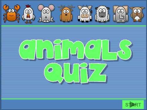 animals-quiz-1