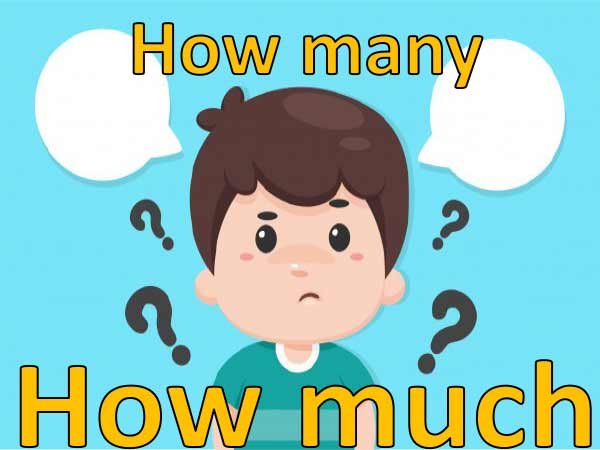 how-many-how-much