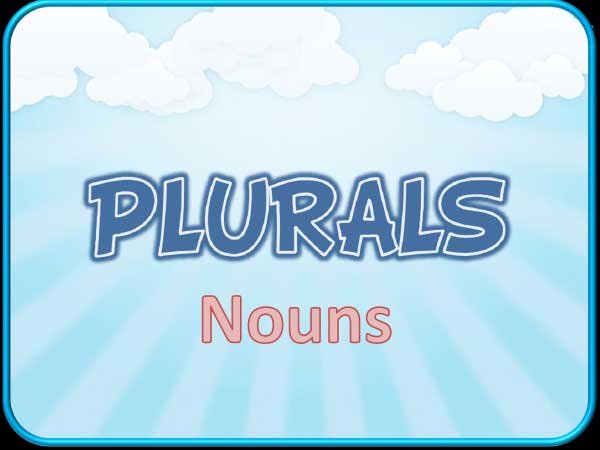 plurals--nouns_flash