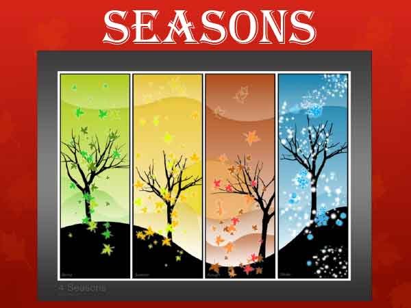seasons-activities 2