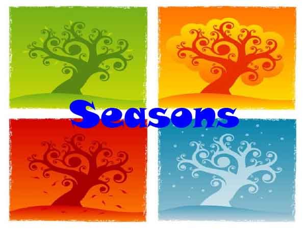 seasons-activities 3