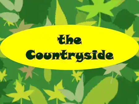 countryside