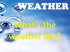 forecast