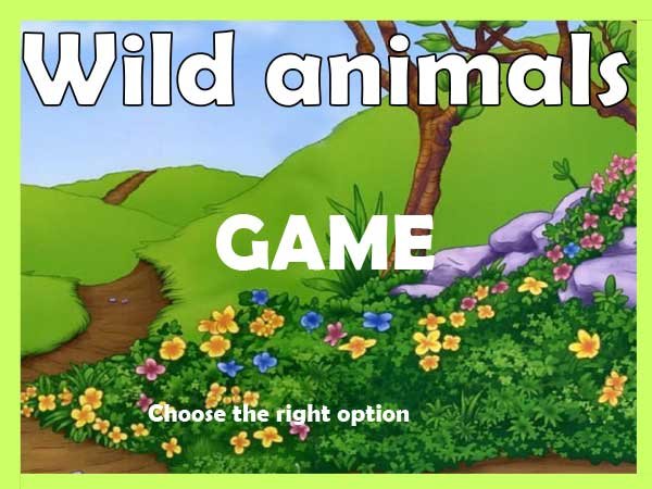 WILD-ANIMAL
