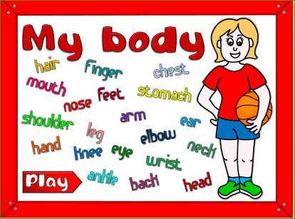 body 2