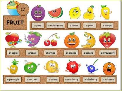 vegetable